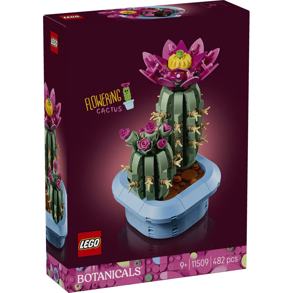 11509 FLOWERING CACTUS V29
