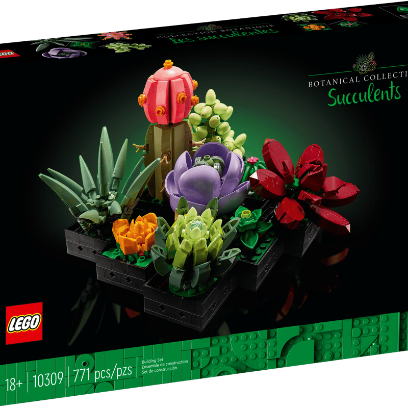10309 SUCCULENTS V29