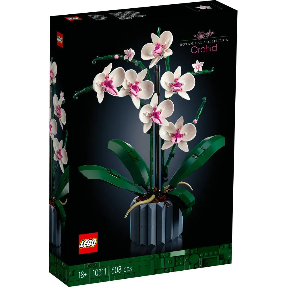 10311 ORCHID V29