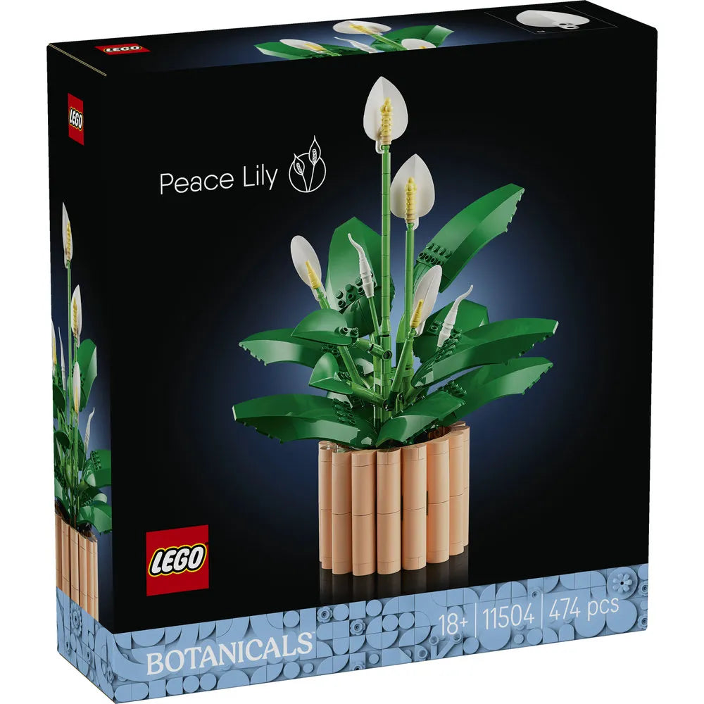 11504 PEACE LILY V29