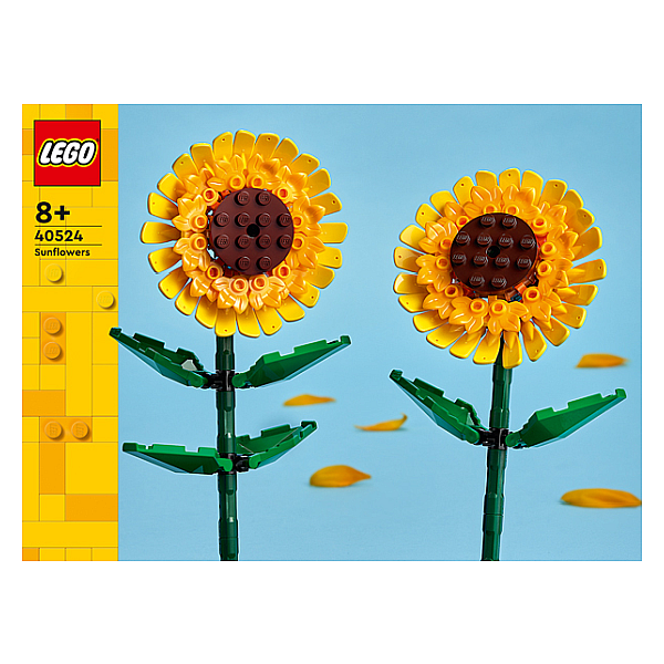 40524 SUNFLOWERS V29