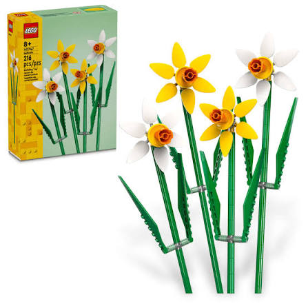 DAFFODILS 40747